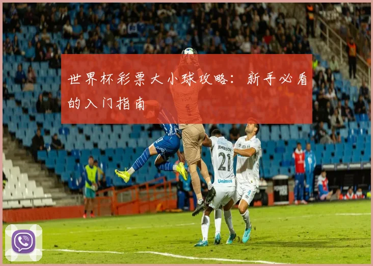 世界杯彩票大小球攻略：新手必看的入门指南