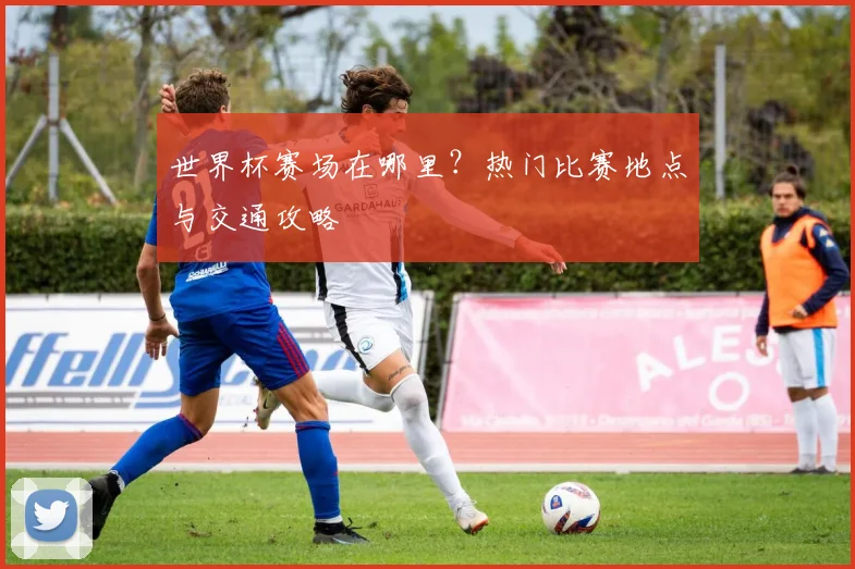 世界杯赛场在哪里？热门比赛地点与交通攻略
