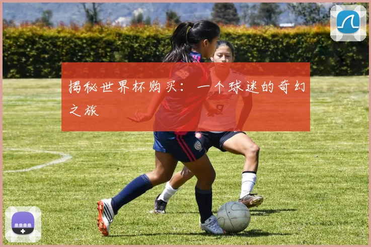 揭秘世界杯购买：一个球迷的奇幻之旅
