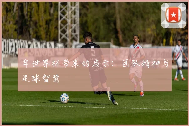 年世界杯带来的启示:团队精神与足球智慧