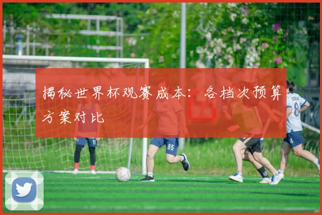 揭秘世界杯观赛成本：各档次预算方案对比